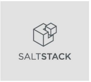 saltstack